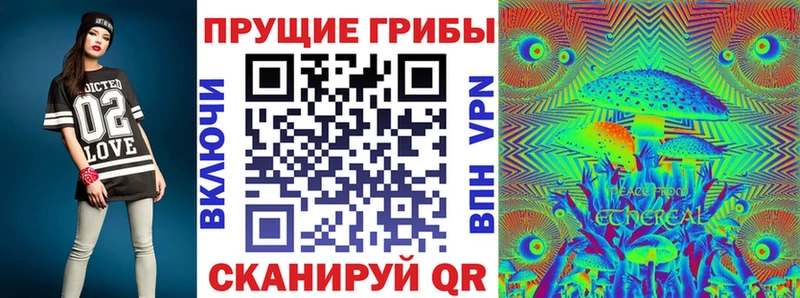 Псилоцибиновые грибы GOLDEN TEACHER  продажа наркотиков  Щёлково 